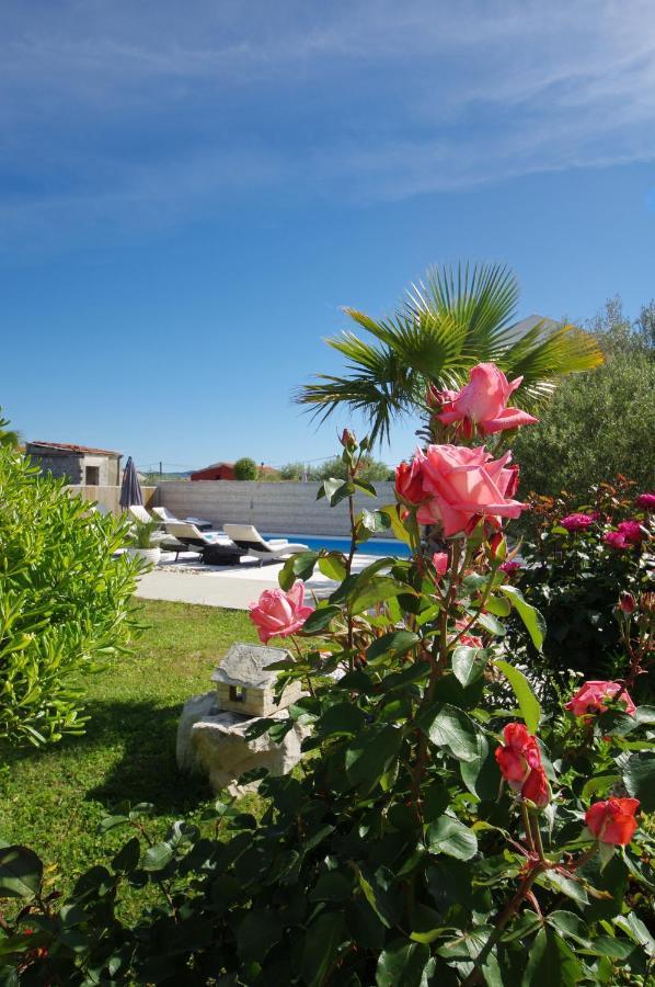 Apartment Emili *